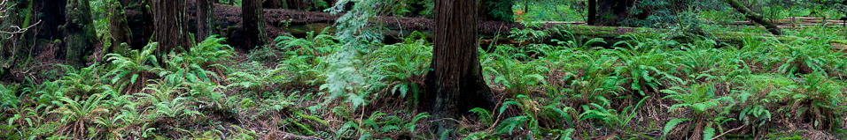 _MG_25038-Edit