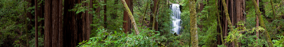 _MG_25717-Edit