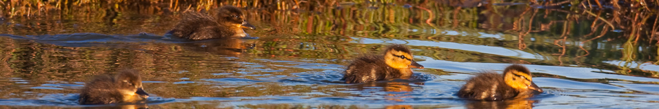 _MG_27545-Edit