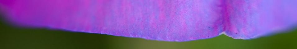 _MG_33720-Edit