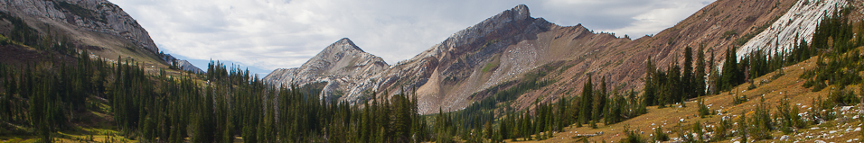 _MG_36541