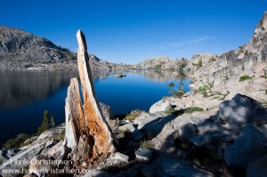 Jagged stump overlooks the western end of Emigrant Lake, Emigrant Wilderness, California
