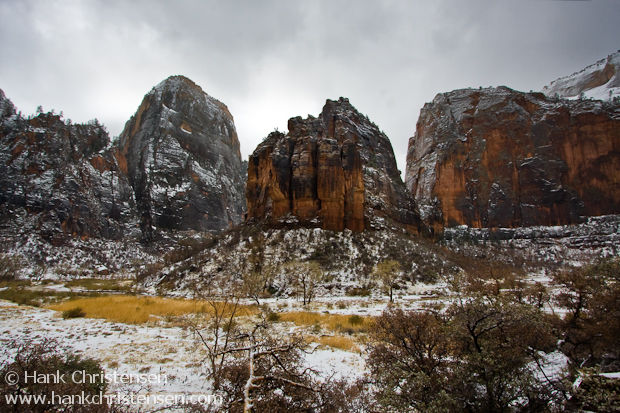 Dramatic cliffs rise above a snowy riverbed with foreground trees, Zion National Park