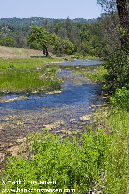 Henry coe outlet backpacking