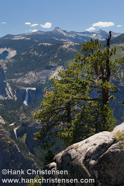 Trees grow out of rounded granite overlooking Nevada Falls from Glacier Point, Yosemite National Park