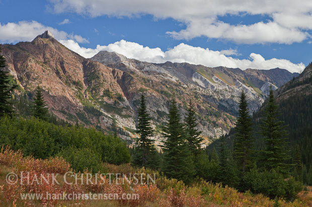 Painted cliffs descend to a mixture of fir and pine along East Eagle Creek, Eagle Cap Wilderness, Oregon