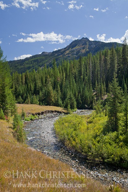 The Imnaha River sweeps through a river valley surrounded by trees, Eagle Cap Wilderness, Oregon