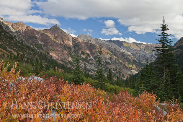 Painted cliffs descend to a mixture of fir and pine along East Eagle Creek, Eagle Cap Wilderness, Oregon