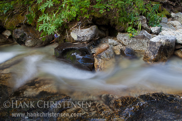 This shot was taken above Eagle Creek, looking down at the water, Eagle Cap Wilderness, Oregon