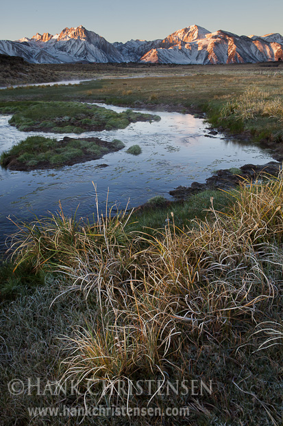 Grass adorns the banks of Hot Creek as sun touches the mountains to the east