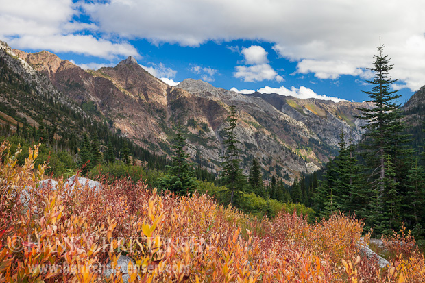 Painted cliffs descend to a mixture of fir and pine along East Eagle Creek, Eagle Cap Wilderness, Oregon