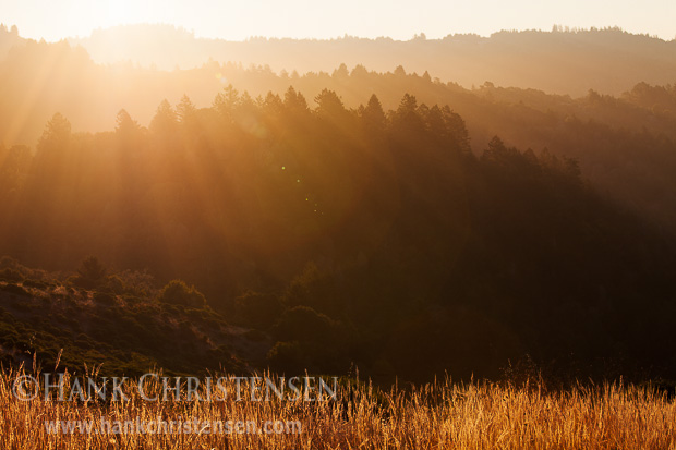 The early rays of sun peak through a dissipating fog along the Sonoma Coast