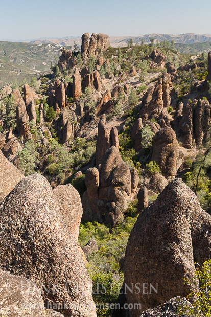 Pinnacles National Park features many rock spires dotting the landscape. The Pinnacles are part of the Neenach Volcano which erupted 23 million years ago near present-day Lancaster, California. The movement of the Pacific Plate along the San Andreas Fault split a section of rock off from the main body of the volcano and moved it 195 miles to the northwest.