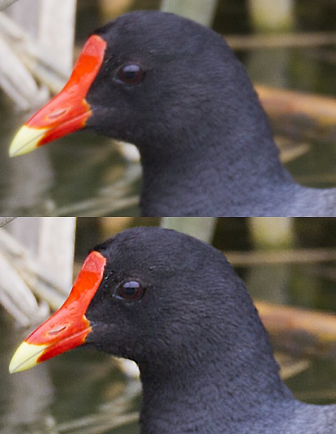 The top image is the shot out of camera, suffering from slight camera shake. The bottom photo has been corrected using Photoshop's new anti-shake tool.