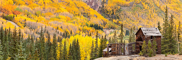 One of the smaller mine structures of the Yankee Girl Silver Mine sits perched over a valley of colorful fall aspen, Ouray, Colorado