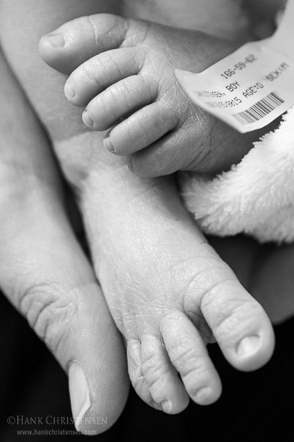 At 4 days old, Jake Jr's feet are slightly bigger than an adult thumb