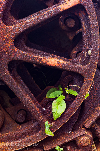 Ancient logging machinery rusts in the damp weather of Charleston Oregon