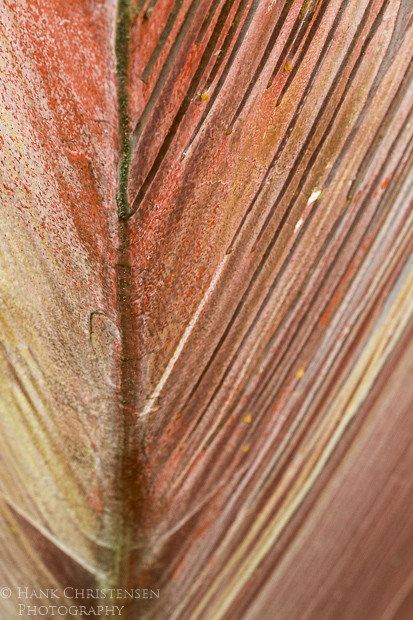 Steaks of paint form patterns along the front bow of a boat