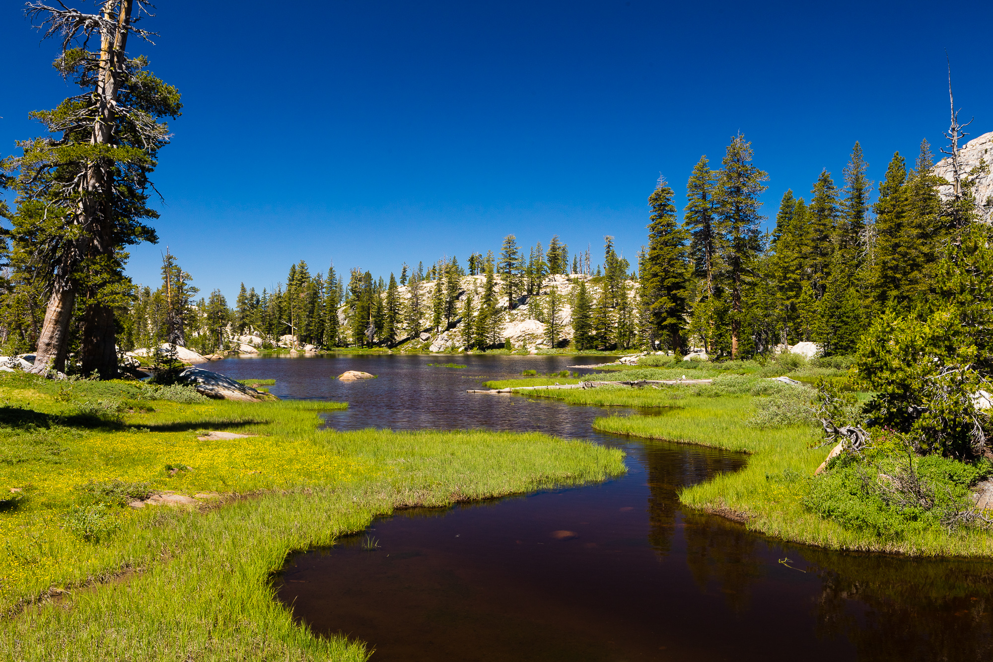 Gem lake 2025 loop emigrant wilderness