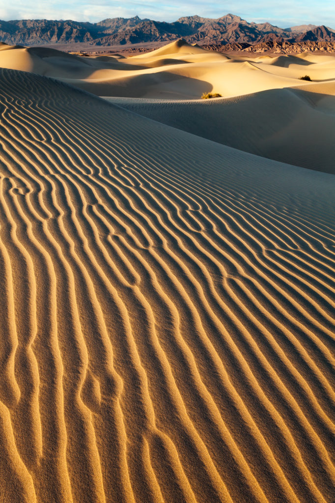 The Mesquite Dunes stretch across the valley just north of Stovepipe Wells, Death Valley National Park