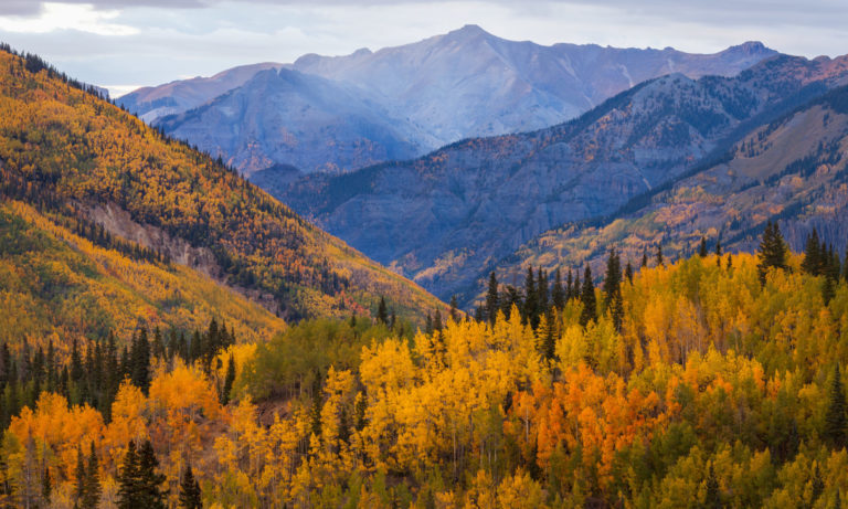 Behind the scenes info about the nature photography of Hank Christensen