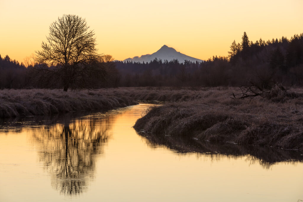 The run rises behind Mt. Hood on a cloudless morning, with Salmon Creek in the foreground, Vancouver, WA.